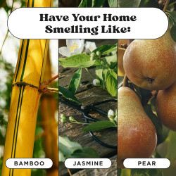 Pet-Pourri Purrfectly - Vela desodorante de bambú para mascotas | Vela desodorante para mascotas en interiores