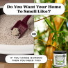 Pet-Pourri Purrfectly - Vela desodorante de bambú para mascotas | Vela desodorante para mascotas en interiores