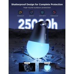 Govee Tira de luces inteligentes para exteriores | Sincronizacion con musica y resistencia exterior