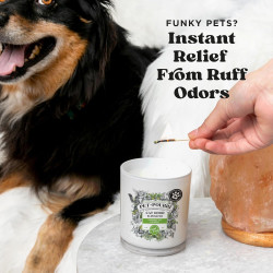 Pet-Pourri Purrfectly - Vela desodorante de bambú para mascotas | Vela desodorante para mascotas en interiores