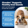 Vetnique Glandex - Golosinas masticables para mascotas | Ideal para la salud de la glándula anal de mascotas