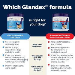 Vetnique Glandex - Golosinas masticables para mascotas | Ideal para la salud de la glándula anal de mascotas