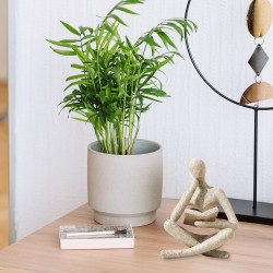 Estatua de pensador para decoración de estantería