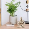 Estatua de pensador para decoración de estantería