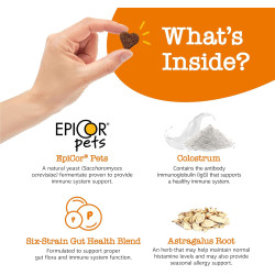 Suplemento inmune a las alergias para perros | Suplemento de mascotas para alergias