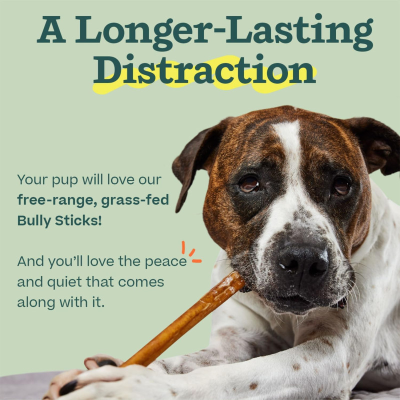 WOOF Bully Sticks - Golosinas para perros | Palitos masticables de larga duracion para perros