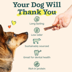 WOOF Bully Sticks - Golosinas para perros | Palitos masticables de larga duracion para perros