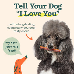 WOOF Bully Sticks - Golosinas para perros | Palitos masticables de larga duracion para perros