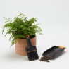 Fiskars Juego de cuchara y cepillo para plantar tierra