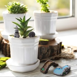 12 piezas de accesorios de jardín