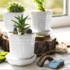 12 piezas de accesorios de jardín