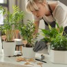 VITEVER 100 etiquetas para plantas | Rotuladas e impermeables