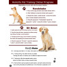 Clicker de entrenamiento para mascotas | Clicker para entrenamiento de mascotas
