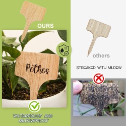 VITEVER 100 etiquetas para plantas | Rotuladas e impermeables