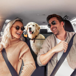 PROZAR Funda de asiento de automóvil para perros | Funda de asientos de mascotas para vehiculos