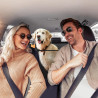 PROZAR Funda de asiento de automóvil para perros | Funda de asientos de mascotas para vehiculos