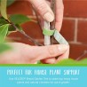 Cintas de sujeción para plantas | De velcro y resistentes