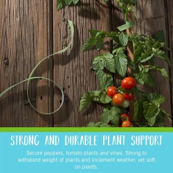 Cintas de sujeción para plantas | De velcro y resistentes