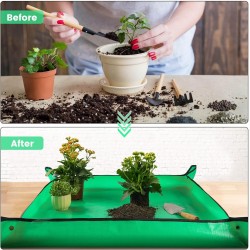 Estera de trasplante para cuidado de plantas de interior