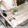 5 herramientas para suculentas | en miniatura y con manual