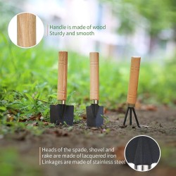 5 herramientas para suculentas | en miniatura y con manual