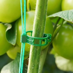 100 clips de soporte para plantas, clips de plástico para asegurar plantas