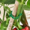 100 clips de soporte para plantas, clips de plástico para asegurar plantas
