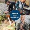 Aimerla Juego de 9 herramientas de jardinería