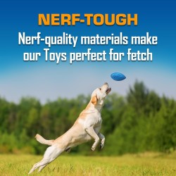 Nerf Dog Juego de regalo de juguete para perro
