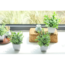 Der Rose Paquete de 4 plantas falsas | Macetas flasa de decoracion para el hogar