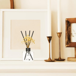 Juego de 3 difusores de varillas | Ambientadores de varillas para estantes