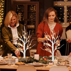 PEIDUO Decoraciones de Navidad para interiores | Decoracion navideña de arbol blanco con luces LED