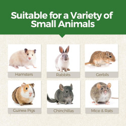 TEEWY 3 juguetes masticables de conejillo de indias | Evita el crecimiento excesivo de dientes