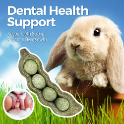 TEEWY 3 juguetes masticables de conejillo de indias | Evita el crecimiento excesivo de dientes