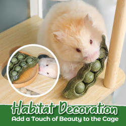 TEEWY 3 juguetes masticables de conejillo de indias | Evita el crecimiento excesivo de dientes