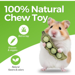 TEEWY 3 juguetes masticables de conejillo de indias | Evita el crecimiento excesivo de dientes