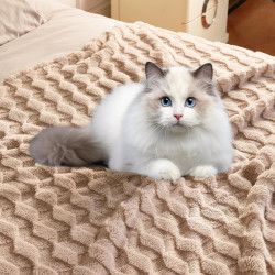 Jurassic World - Juguete interactivo de dinosaurio y huevo