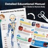 GobiDex Kit de modelo de esqueleto de cuerpo humano | Aprendizaje de anatomia humana para niños