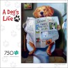 Rompecabezas de 750 piezas de perro 23.6 in de largo x 17.7 in de ancho