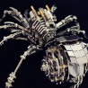 Kit de modelo de araña de metal 3D | Rompecabezas de Araña metalica con luces RGB