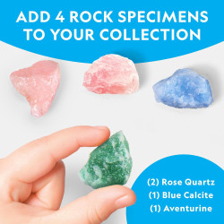 National Geographic - Kit de terrario iluminado para niños | Terrario iluminado de aprendizaje para niños