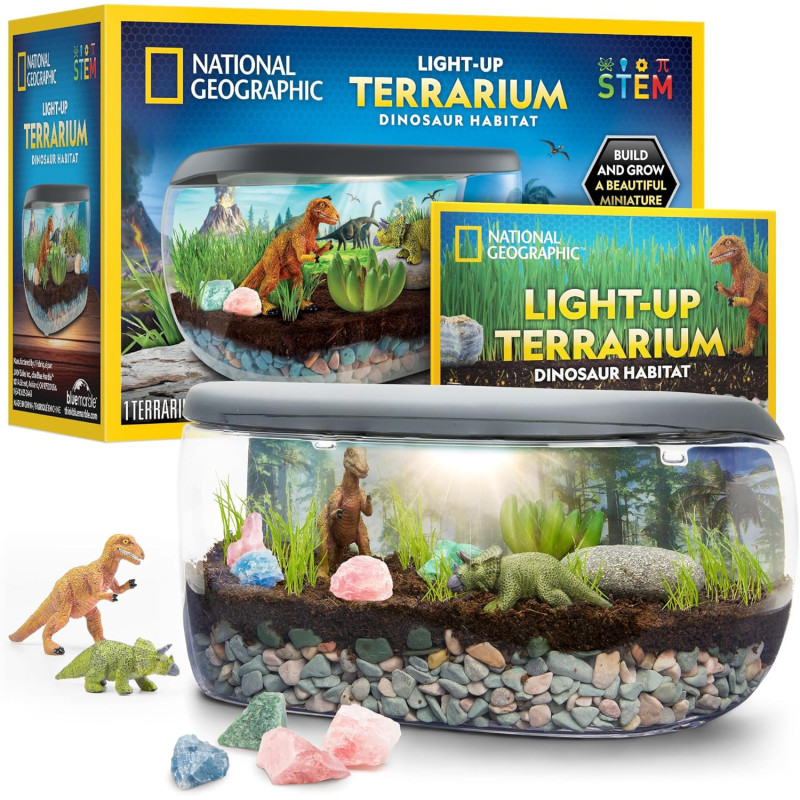 National Geographic - Kit de terrario iluminado para niños | Terrario iluminado de aprendizaje para niños