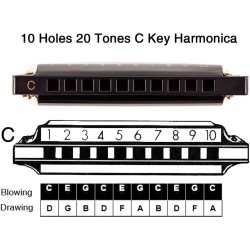 EastRock Blues - Armónica | Armonica de 10 agujeros profesional para principiantes
