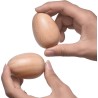 Juego de 4 instrumentos musicales de percusión de mano | Echos de madera e incluye bolsa de viaje