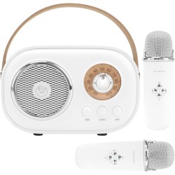 Mini máquina de karaoke para niños, altavoz Bluetooth portátil con 2 micrófonos inalámbricos
