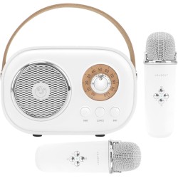 Mini máquina de karaoke para niños, altavoz Bluetooth portátil con 2 micrófonos inalámbricos