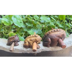 Instrumentos de percusión tailandesa vintage ranas