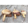 Instrumentos de percusión tailandesa vintage ranas