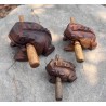Instrumentos de percusión tailandesa vintage ranas