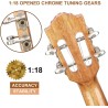 Hricane Ukelele profesional | Con kit de accesorios para principiantes